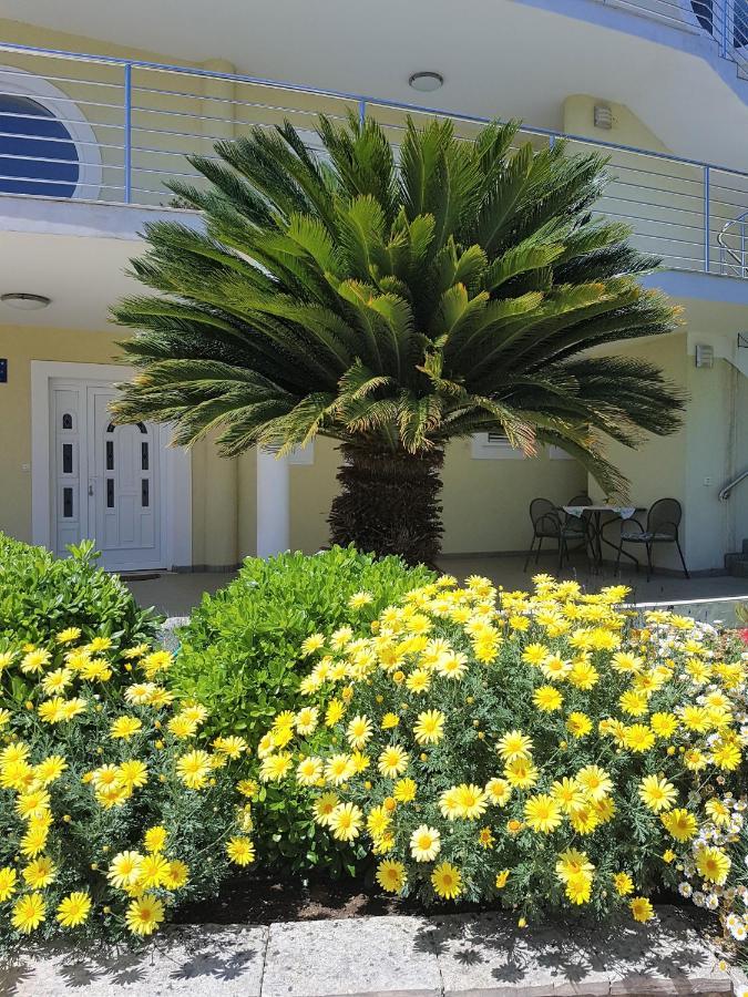 Villa Maestral Zadar Ngoại thất bức ảnh