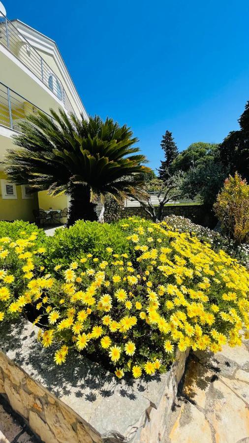 Villa Maestral Zadar Ngoại thất bức ảnh