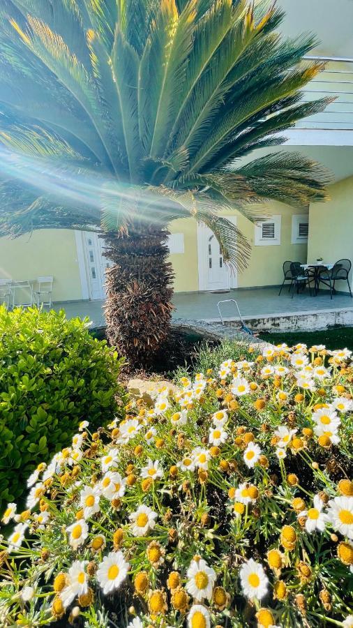 Villa Maestral Zadar Ngoại thất bức ảnh